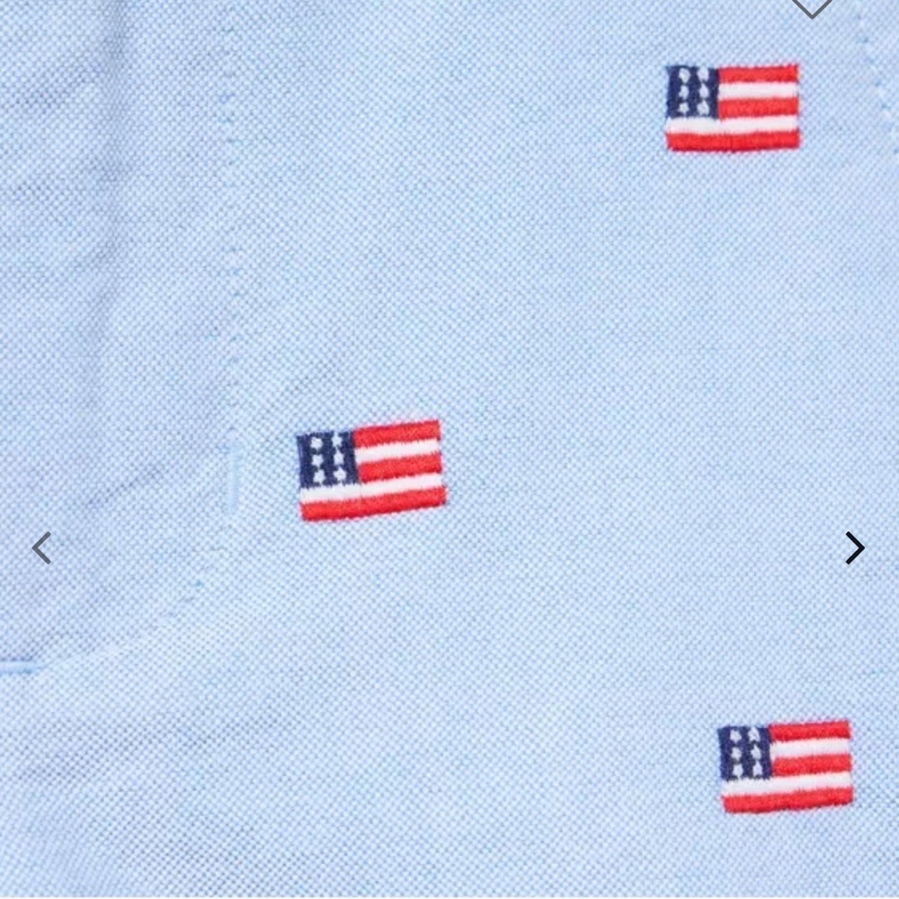 Janie and Jack Light Blue Flag Embroidered Kids Shorts - Picture 3 of 7